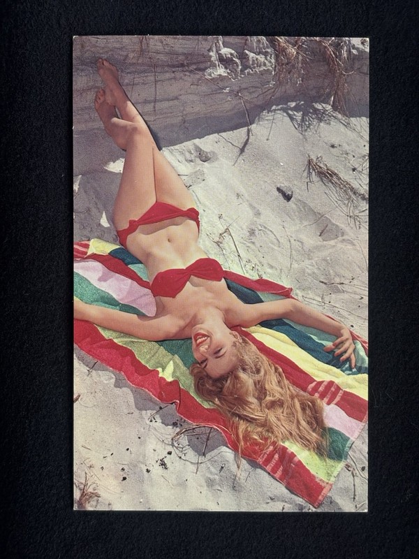 Clever Pinup Red Bikini Bathing Suit Photo Julius Vintage Postcard Plastichrome