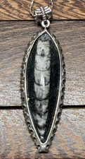 Orthoceras Fossil Pendant Large – Natural Fossil Jewellery 18" 925 Silver Chain