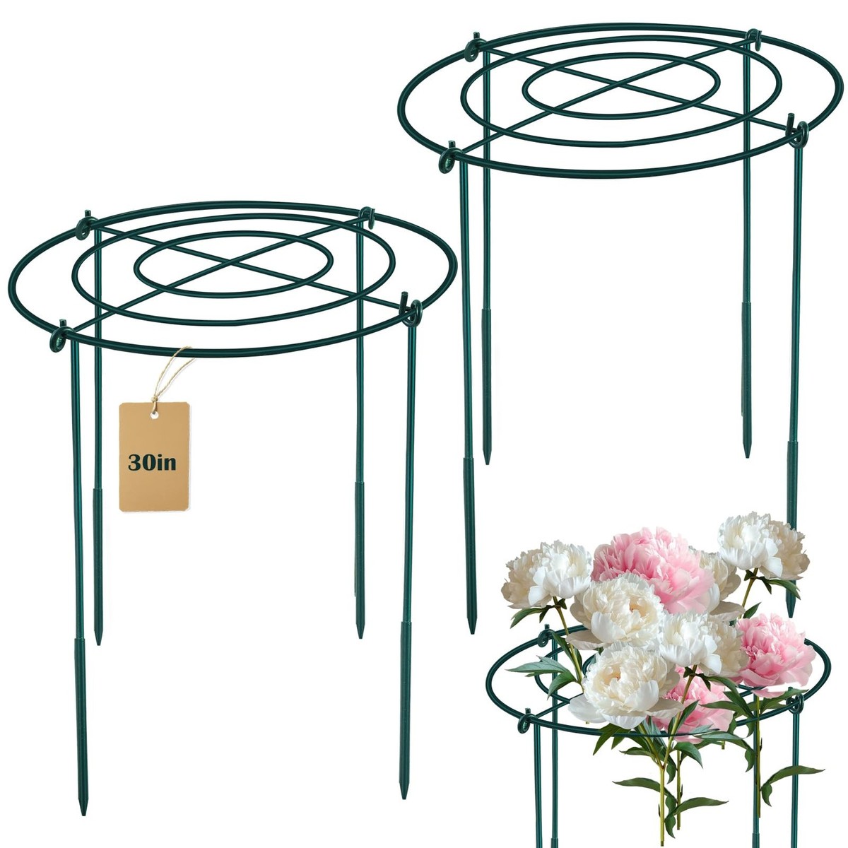 2Set Metal Peony Grid Cages, 30
