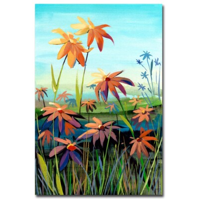 Daisies in Sunset Colors by Brook Gallery-Wrap Canvas Giclee Art (24 in x 16 in)