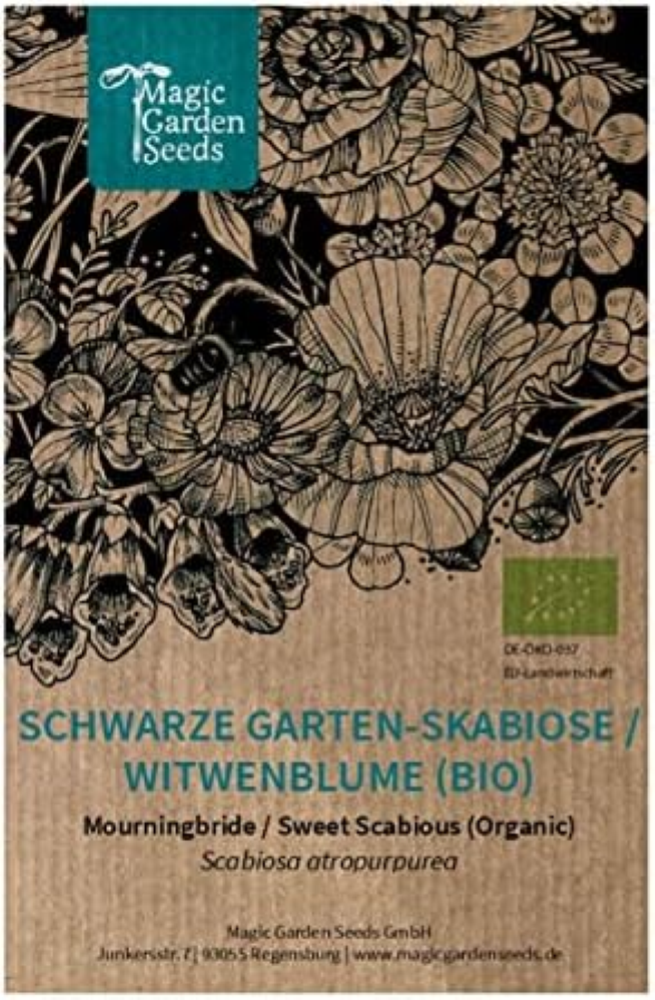 Vedovella selvatica (Scabiosa atropurpurea) biologica - circa 50 semi