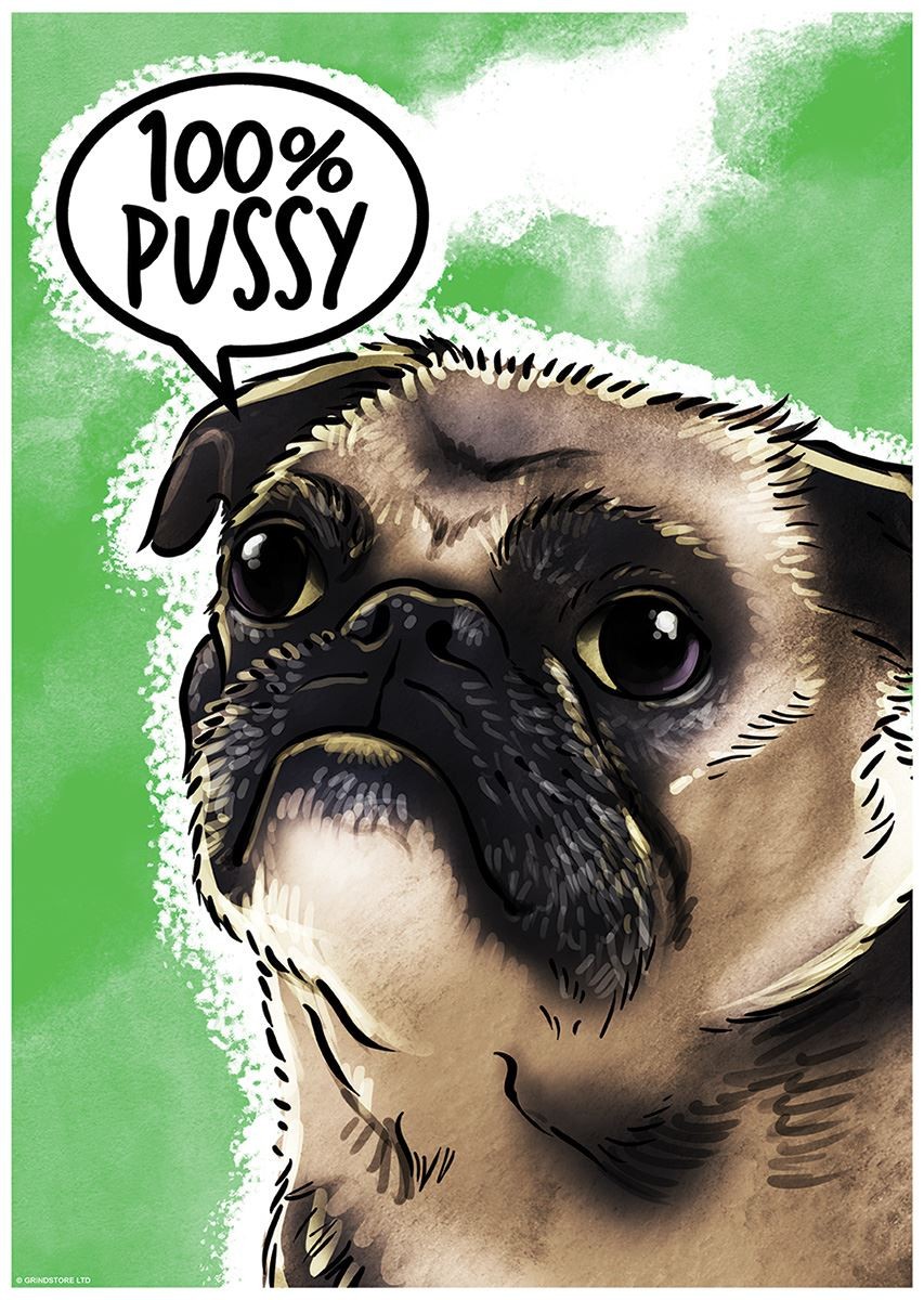 Laminated Cute But Abusive 100% Pussy Mini Poster