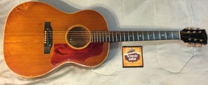 Gibson B 25 | eBay