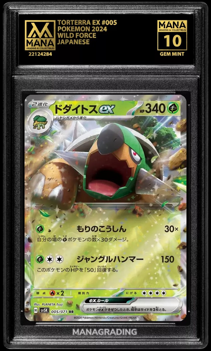 Pokemon TORTERRA EX #005 WILD FORCE MANA 10 GEM MINT PSA 10 Pokemon TORTERRA EX #005 WILD FORCE MANA 10 GEM MINT PSA 10