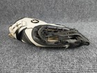 Worth Legit 14" Slow Pitch Softball Glove WLG140-PH Left Hand Throw — photo 5