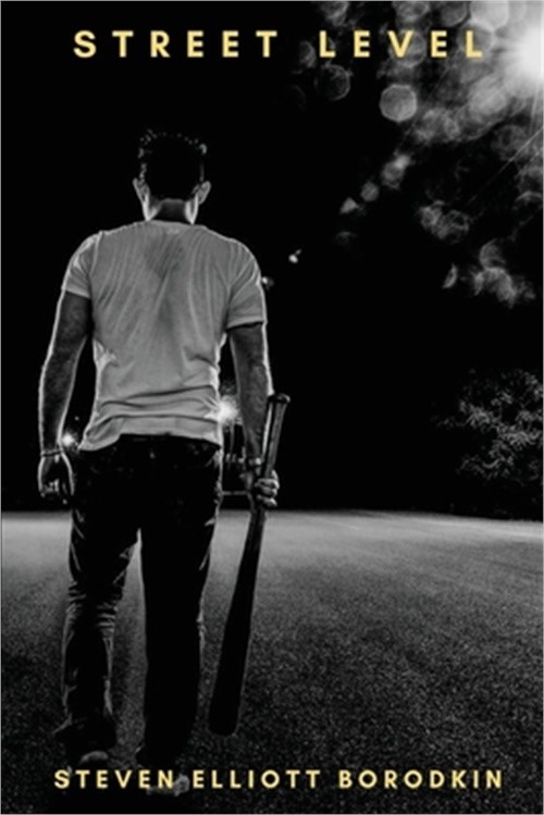 Street Level (Paperback or Softback)