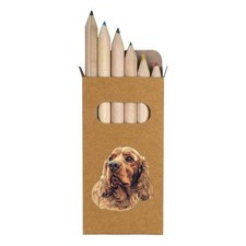 6 x 'Brown Cocker Spaniel Dog Portrait' Short Colour Pencils PE00066052