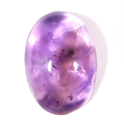 Cabochon Ovale En Coquille D'ormeau Paua Multicolore Naturel - 42.50 Carats - 35x25 Mm