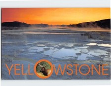 Postcard Canary Springs Yellowstone National Park Wyoming