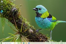 Microsoft Surface 3 64GB, Wi-Fi + 4G (Unlocke...