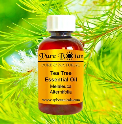 Tea Tree Essential Oil · 100% Pure & Natural · TOP SELLING!  ·  1oz - 16oz