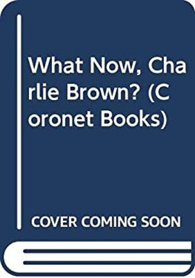 Was Nun, Charlie Brown? Taschenbuch Charles Schulz