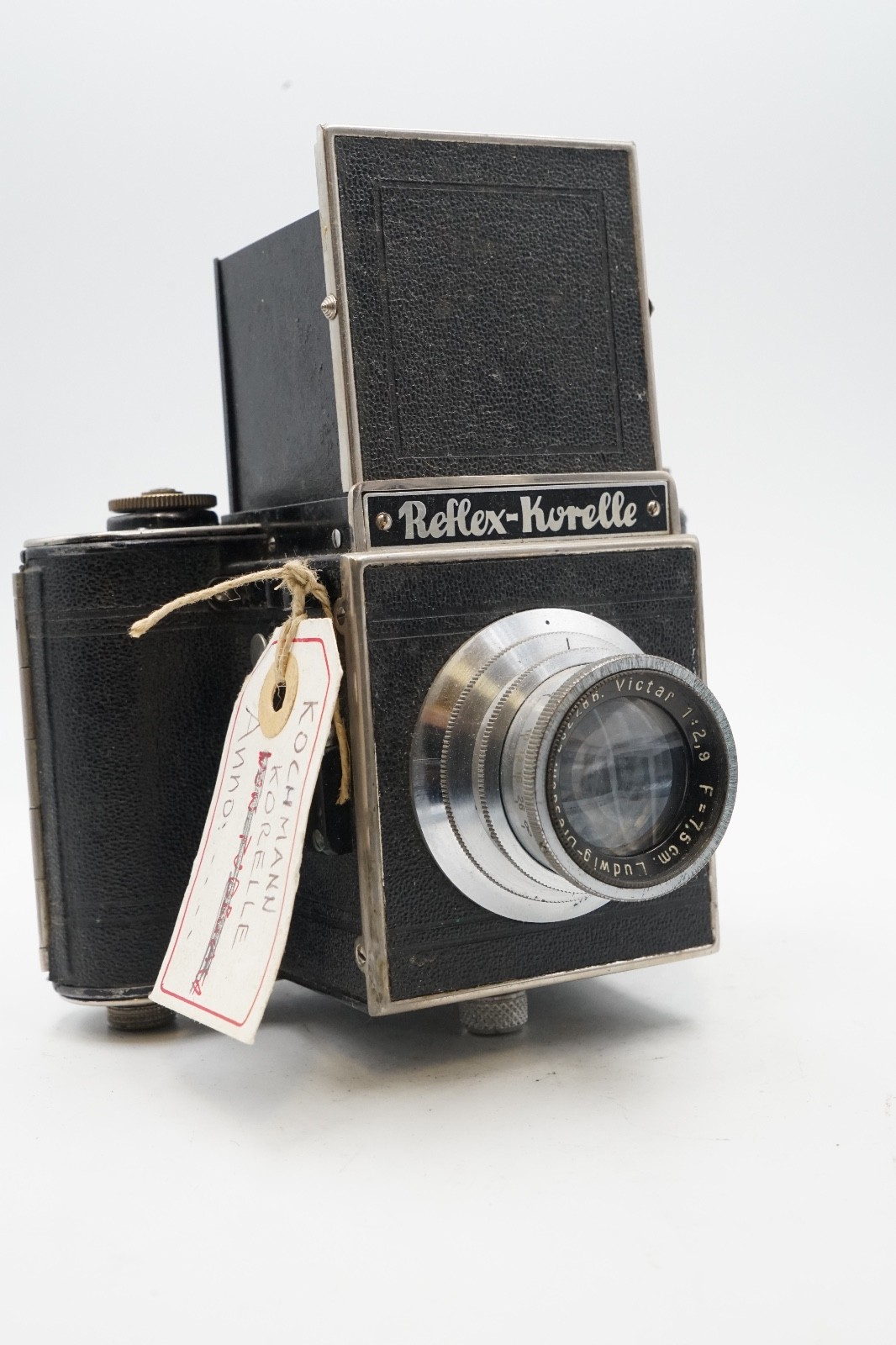 Kochmann: Reflex Korelle