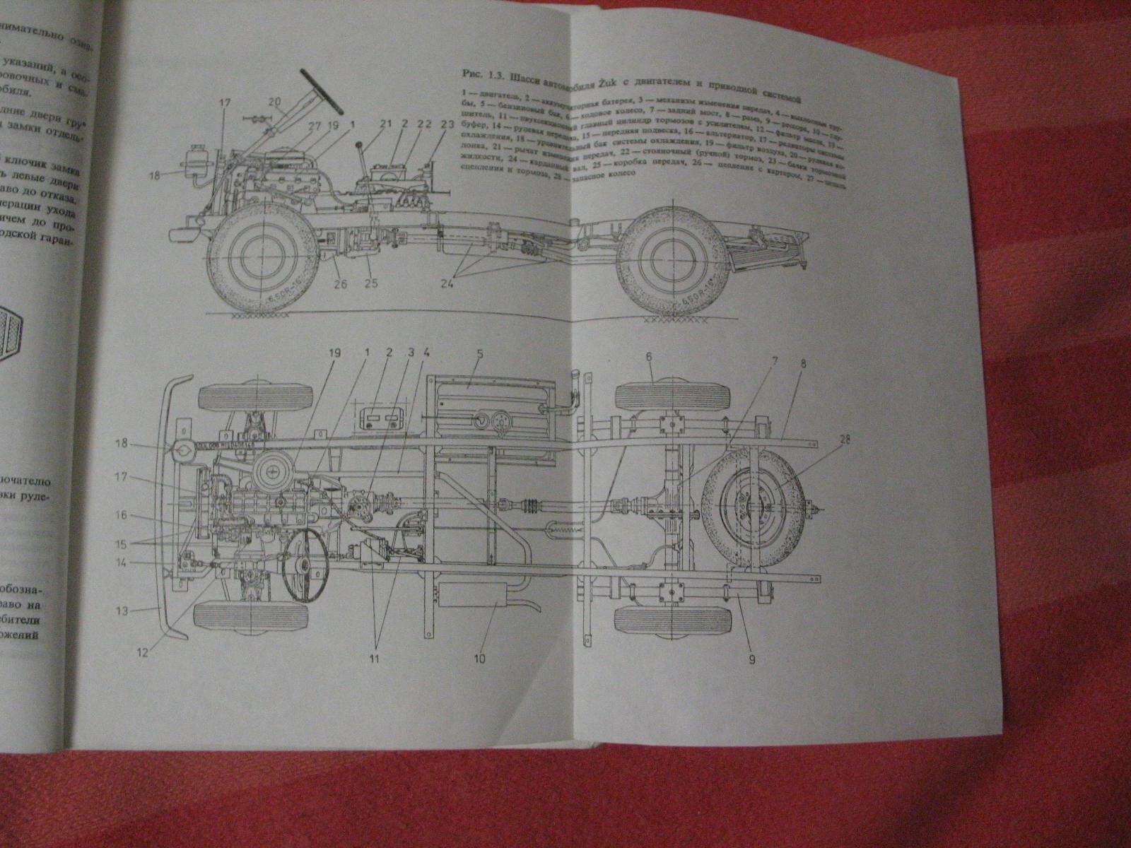 Picture 6 of 14