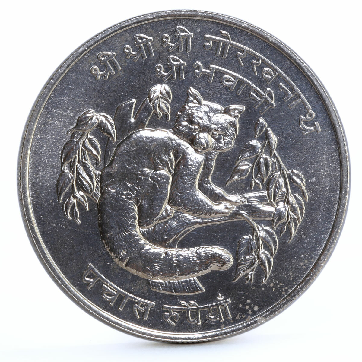 Nepal 50 rupees Endangered Wildlife Red Panda Fauna silver coin