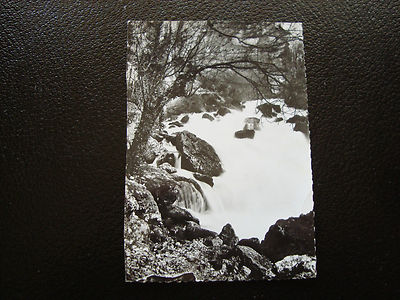 FRANCE - postcard 1964 fontaine-de-vaucluse la grande cascade (cy33) French