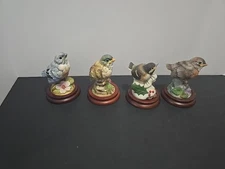 Andrea Sadek Robin, Blue Bird, Chicadee, Gold Finch