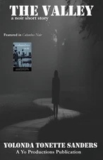 The Valley by Yolonda Tonette Sanders Paperback Book