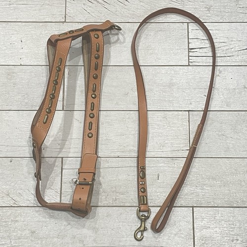 Pet Harness and Leash Leather Studded Pig Hog 40 Inch Chest