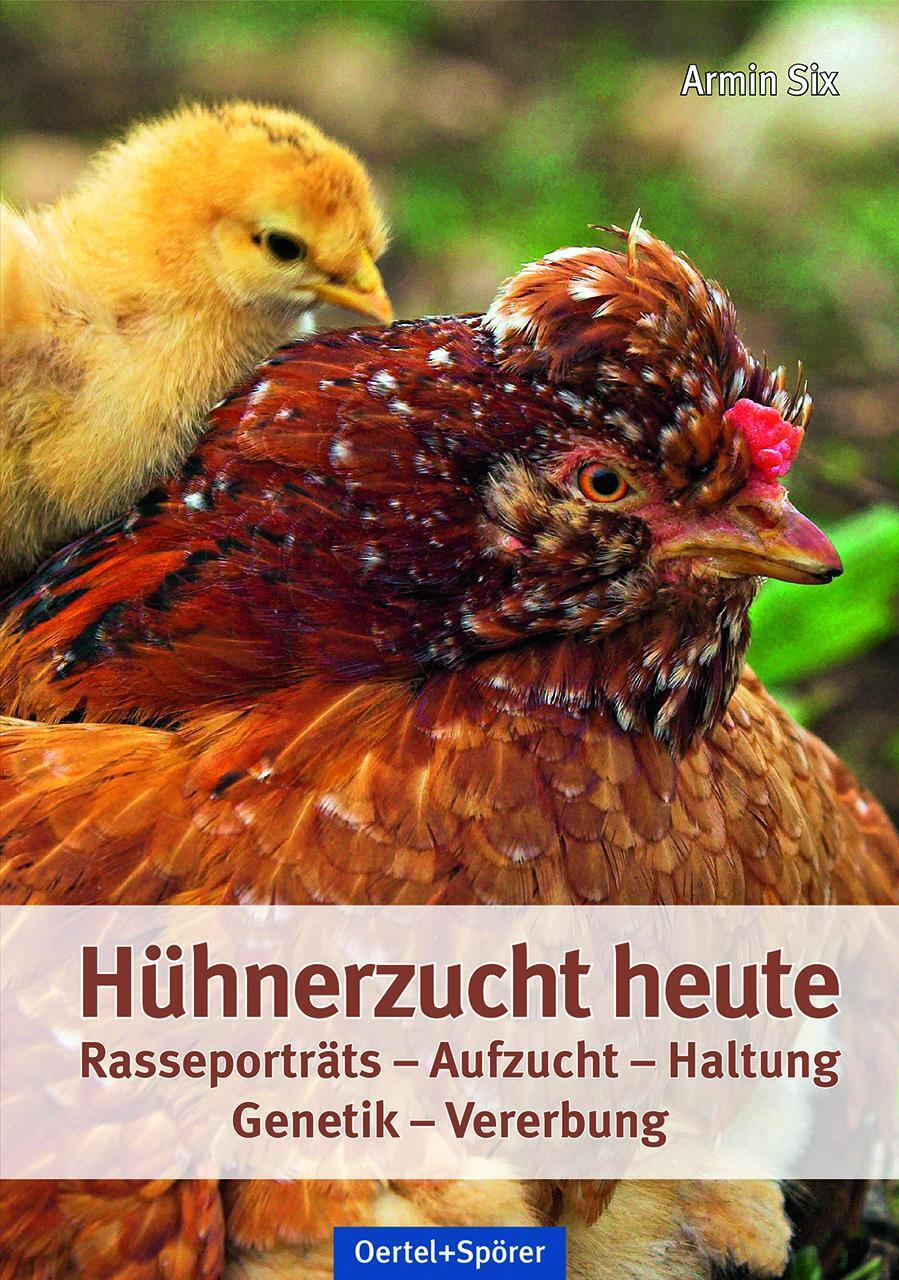 Thumbnail - Hühnerzucht Heute | Rasseporträts - Aufzucht - Haltung - Genetik -
