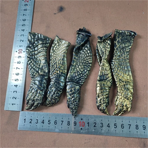 2PCS Real Alligator Crocodile Skin Paw Leather Hide Pelt DIY Craft Accessories - Picture 17 of 36