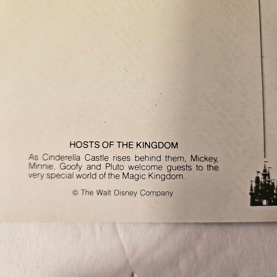 Postales de colección de Walt Disney World Magic Kingdom colección central EPCOT años 90 Foto 3 de 4