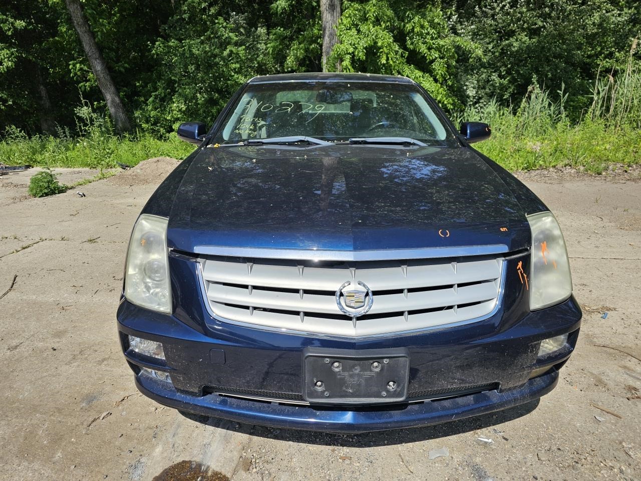 Picture 3