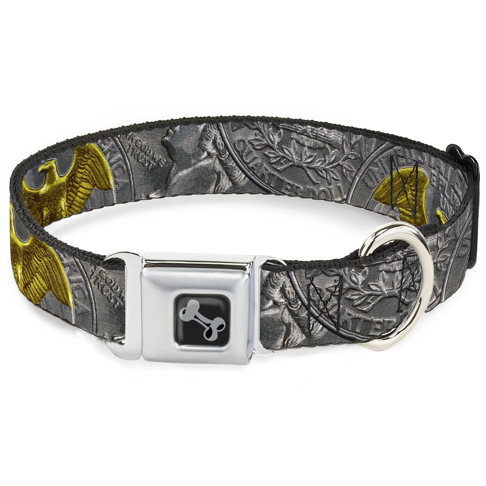 Buckle-Down Pet Collar, Dog Collar Metal Seatbelt Buckle, Quarter Co (US IMPORT)