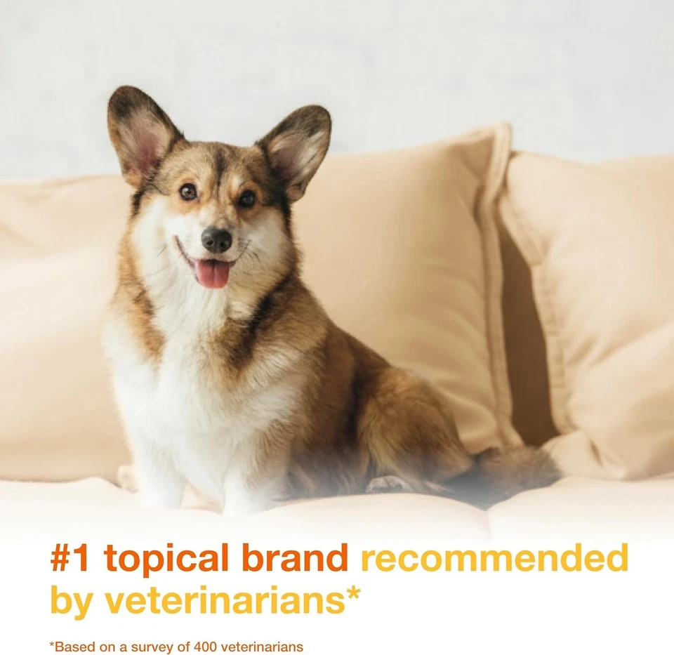 Paquete de 2 mousse limpiadora antimicótica medicada Douxo S3 PYO para perros 5 OZ Foto 3 de 4