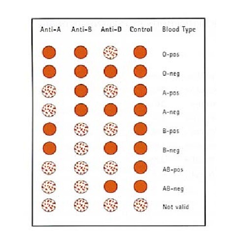 5 x Blood Type Test Kit Eldoncard Home A, B, O Rhesus D Groups Testing Pack - Picture 9 of 10