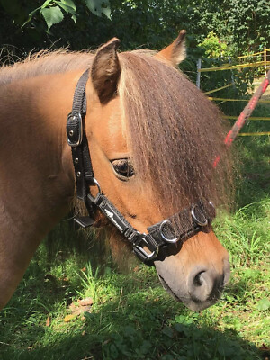Kappzaum Pro von JF-Reitsport 4-Fach verstellbar rutschfest & stoßabsorbierend 