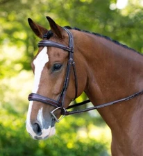 KL Select Red Barn Hampton Bridle