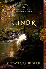 Tindr: Book Five of the Circle of Ceridwen Saga: Volume 5