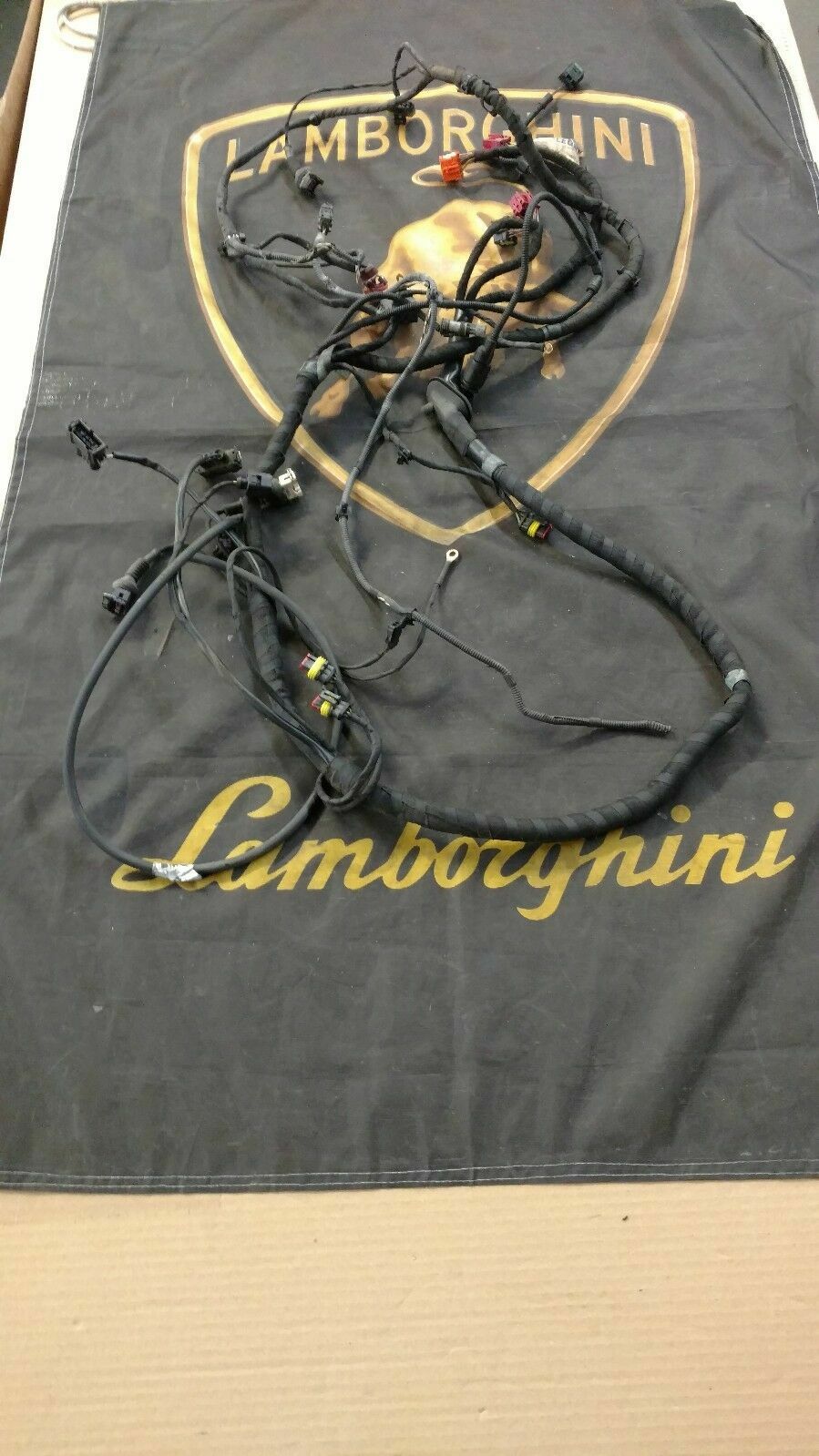LAMBORGHINI MURCIELAGO LP640 PASSENGER RIGHT SIDE WIRING HARNESS OEM 410971174E