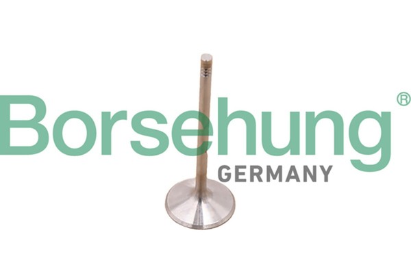 Borsehung Auslassventil B10348 FüR Mercedes Klasse W221 V221 W211 W251 V251 W204-image