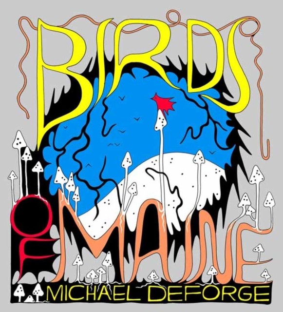 Birds of Maine by Michael DeForge (Hardback Book)