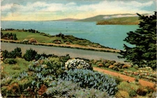 Len, San Francisco, Pacific Novelty Co, Golden Gate, weather, visit, Postcard