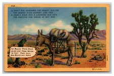 Comic Donkey In Desert 40 Miles From Nowhere UNP Linen Postcard XC7