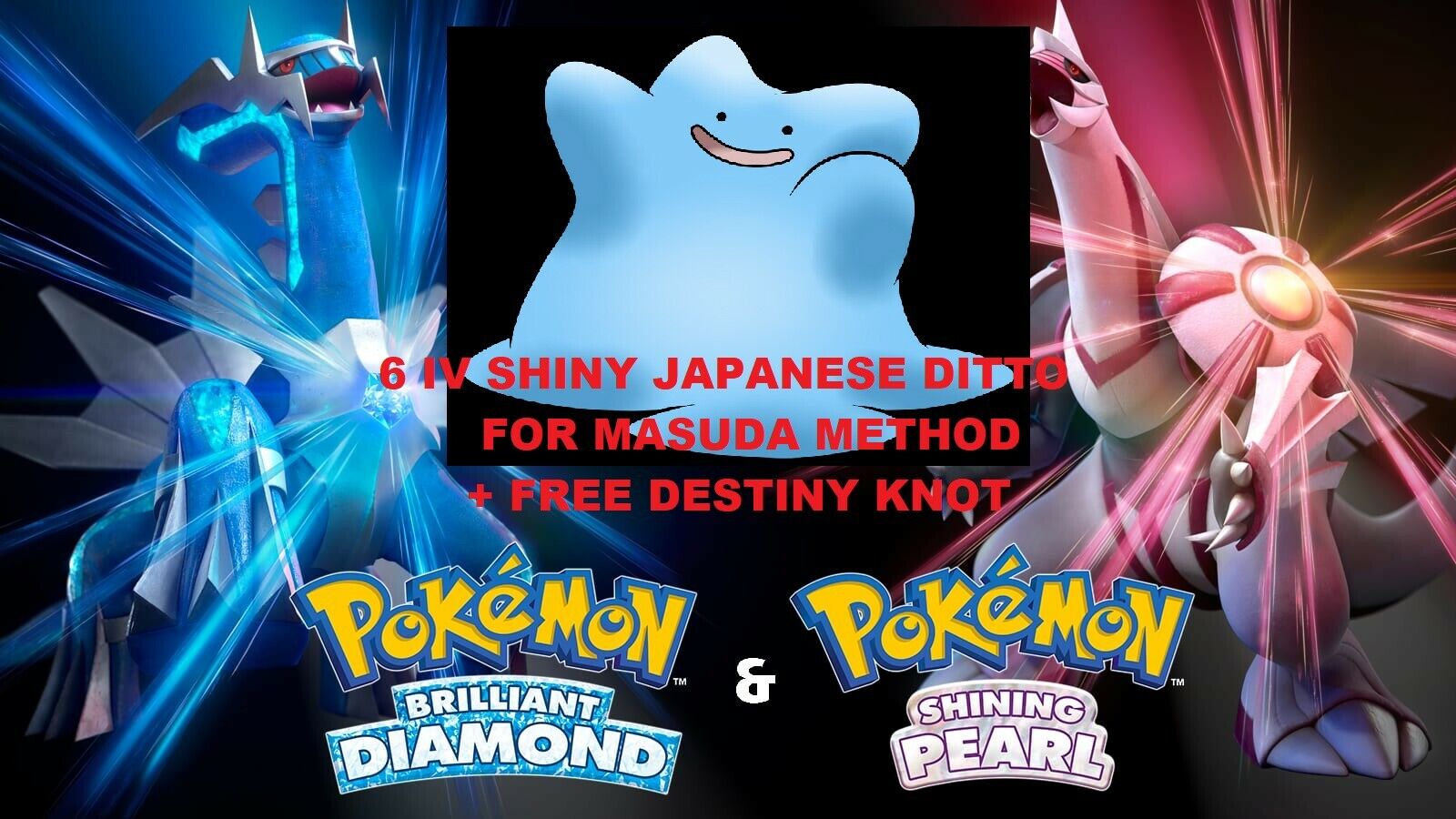 Shiny JP Ditto 6IV with Destiny Knot | Pokemon Brilliant Diamond Shining  Pearl