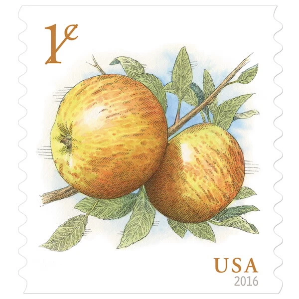 US # 5037 1c Apples (2017) - 100 Stamps / Coil Single Flat Strip (Fruit) MNH - Image 3 of 3