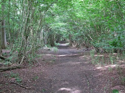 Foto A3 Weg in Granaten Holz Geffrey Granett bekam dieses Land in 11 c2014