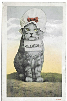 12. Mrs. Kaatskill Cat from early 1900's, unused