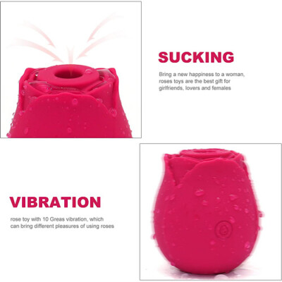 Rose Vibrator 10 Gears, Cltrial & Nipple Sucking Ty Rechargeable |  eBay