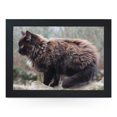 Neues Luxus Zuhause Premium gerahmtes Laptray - Katzen - langhaarige braune Katze
