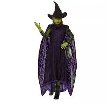 NWT Wicked Movie Child Costume Large 12/14 Witch