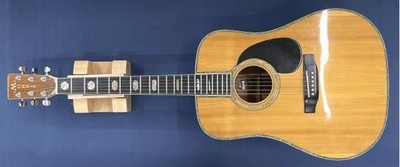 MORRIS W-80 Acoustic