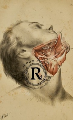1864 Ellis & Ford Anatomical Chromolithograph   Cadaver Head & Neck Dissection  