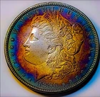 1896  Morgan Silver Dollar Target Toning / . 222