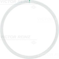 1X Victor Reinz 61-25315-10 Dichtung Zylinderkopf FüR Vw