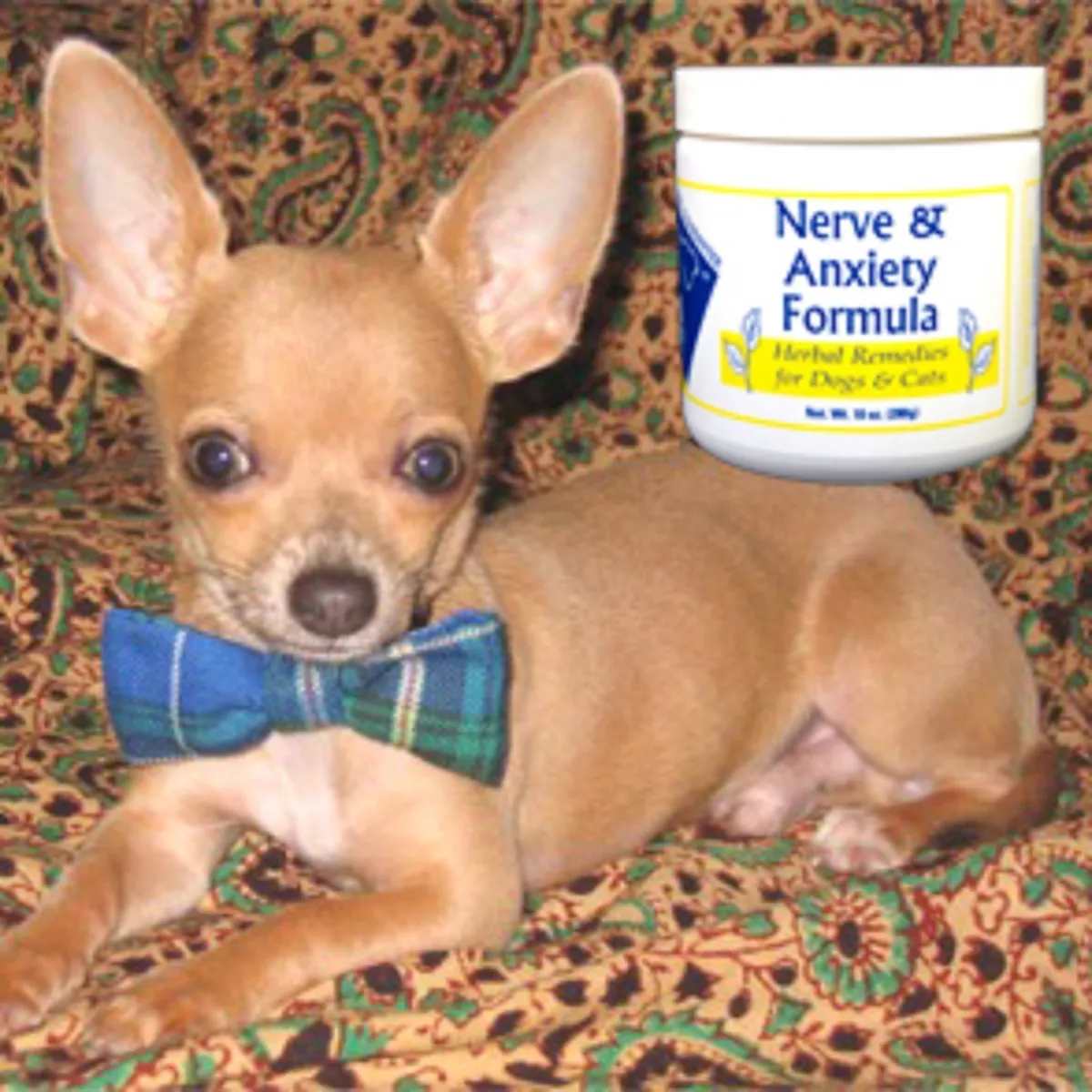 Dog herbal remedies for cheap anxiety